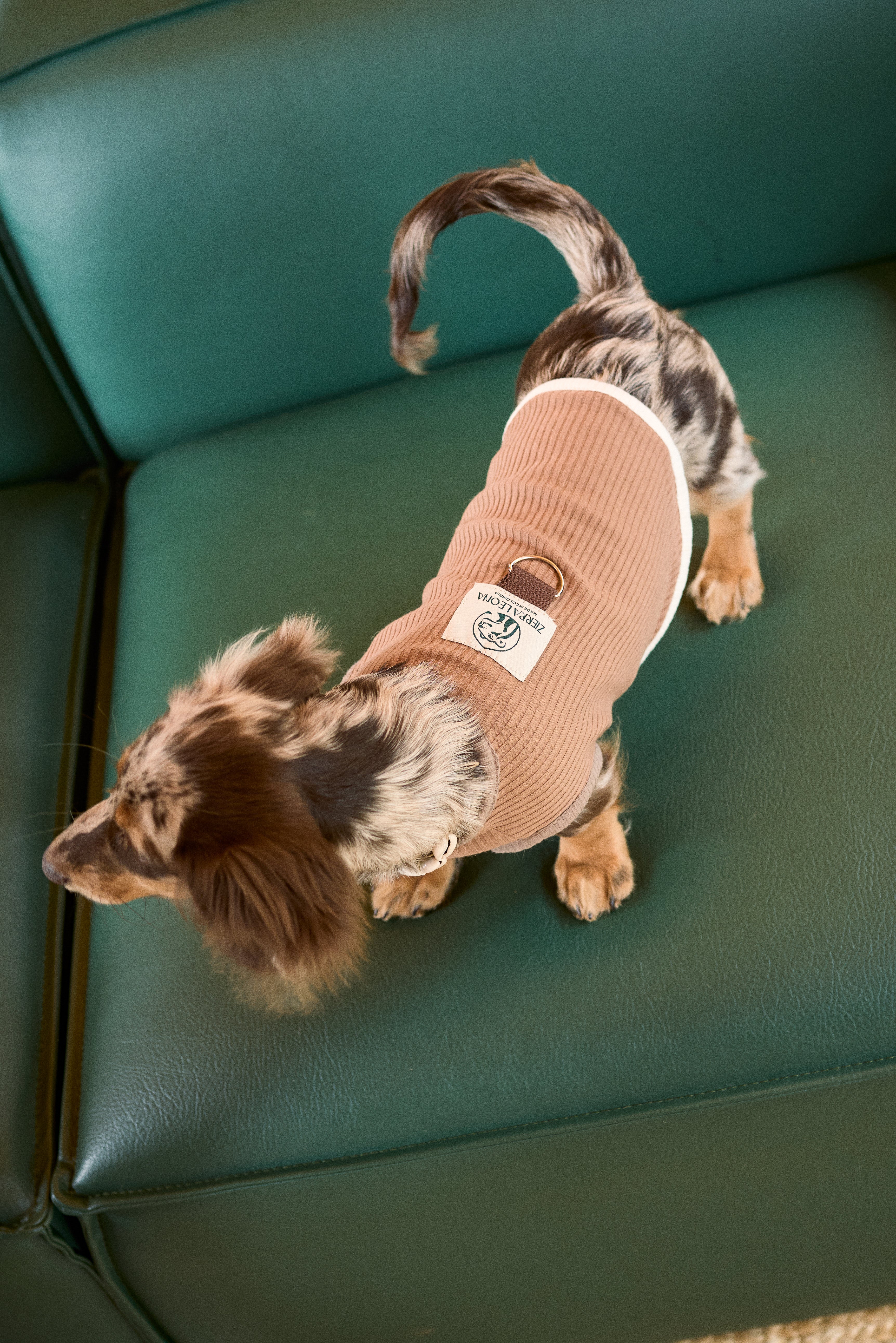 Fur- Ever Tabacco Doggy Sweater