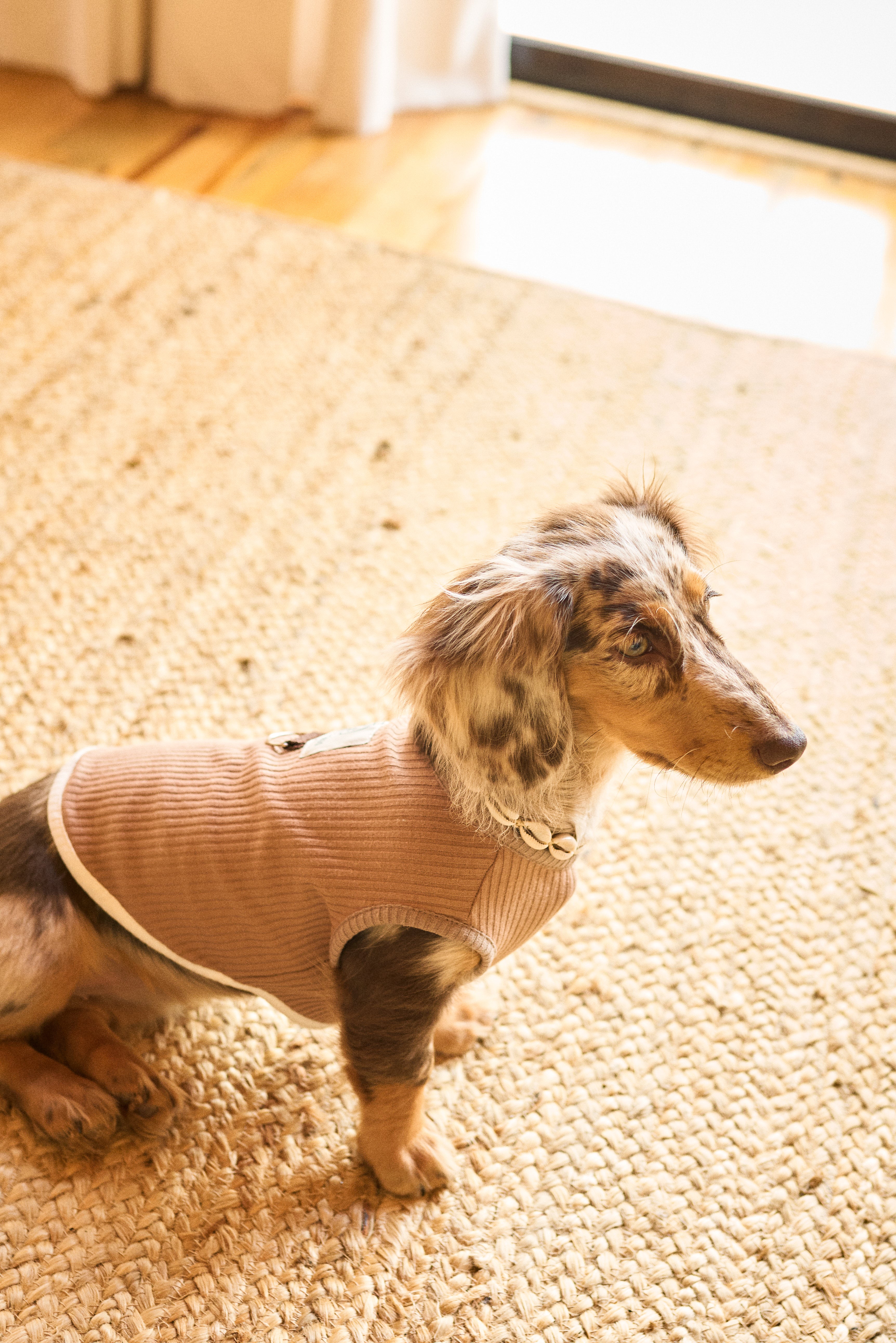 Fur- Ever Tabacco Doggy Sweater