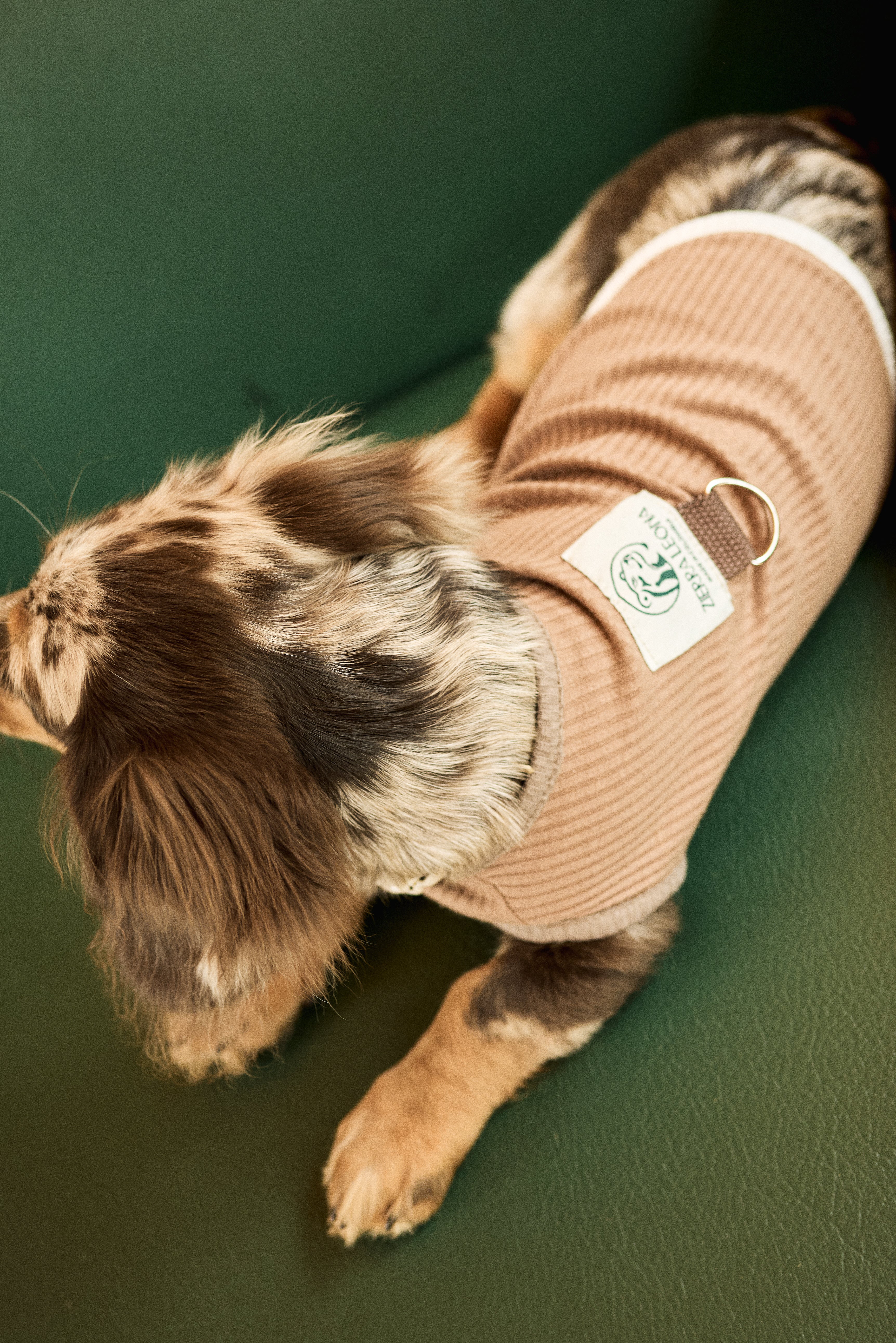 Fur- Ever Tabacco Doggy Sweater